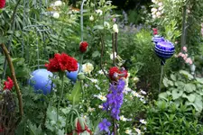 Juni    3121.webp