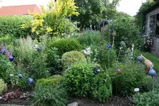 Juni    3521.webp