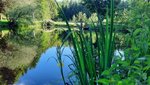 IMG-20210531-WA0005.jpg