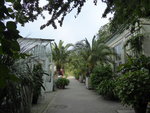 P1040335Hauptgang.JPG