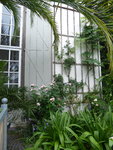P1040336Wand der Orangerie.JPG