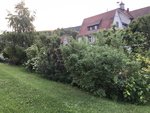 IMG_2141.JPG