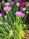 20210628_095653.jpg