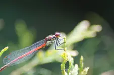 DSC01028.webp