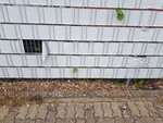 20210628_152828.jpg
