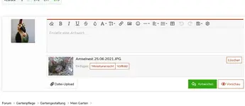 Screenshot 2021-06-28 at 19-34-57 Pyromellas Balkonurwald - Hausgarten net.webp