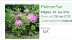 palmen.PNG