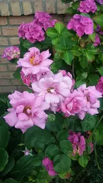 20190729_173944.webp