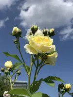 013C3613-C4DE-4DE2-8376-F8B35CA1F3FD.webp