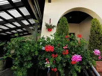 IMG_20210624_075931.webp