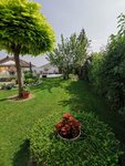 IMG_20210624_092302.jpg