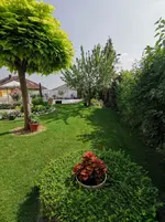 IMG_20210624_092302.webp