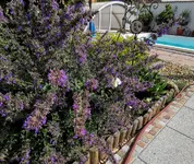 IMG_20210624_092940.webp