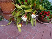 DSC01869.webp
