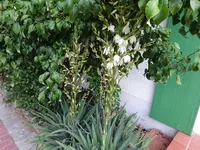 DSC01870.webp