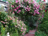 DSC01872.webp