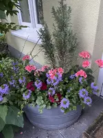 5870E978-D509-4280-8D0F-3B2E8804F368_1_201_a.webp