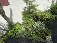 6DB31DBF-F659-4B9D-BB97-960CB34581DD_1_201_a.webp
