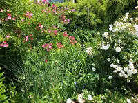 DSCF4804 (2).webp