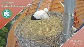 bild.php.jpg