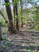 IMG_20210509_170326.jpg