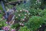 DSC00046.JPG