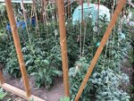 IMG_8702.JPG