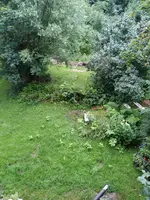 IMG_20210630_104517.webp