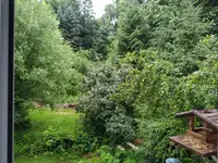 IMG_20210630_104526.webp