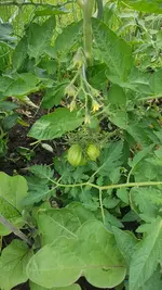 20210701_182130.webp