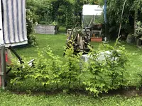 IMG_2176.webp IMG_2176.webp