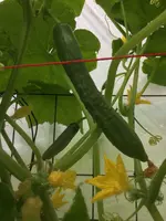 AB8C6FD2-FCDF-4099-B0D0-DDFAC6A6CF77.jpeg