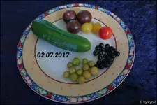 c041.webp