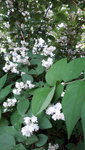 20210627_191639.jpg
