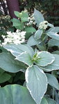 20210702_200234.jpg