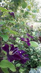 20210626_190245.jpg