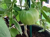 20210703_120910.webp