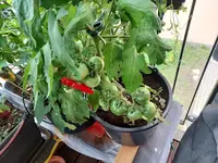 20210703_120803.webp