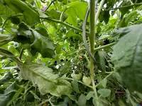 20210703_120736.webp