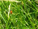 IMG_20210703_140058.jpg