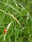 IMG_20210703_140158.jpg
