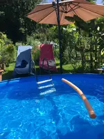 Pool2.webp