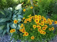 20210703_084708 v.jpg