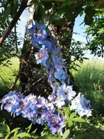 20210703_083548 v.jpg