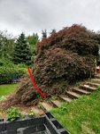 iMarkup_20210703_162959.jpg