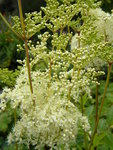 DSCN9156.JPG