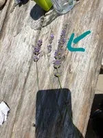 20210703_203906.webp