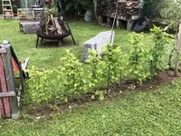 IMG_2188.webp IMG_2188.webp