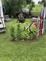 IMG_2187.webp IMG_2187.webp