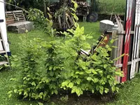 IMG_2174.webp IMG_2174.webp